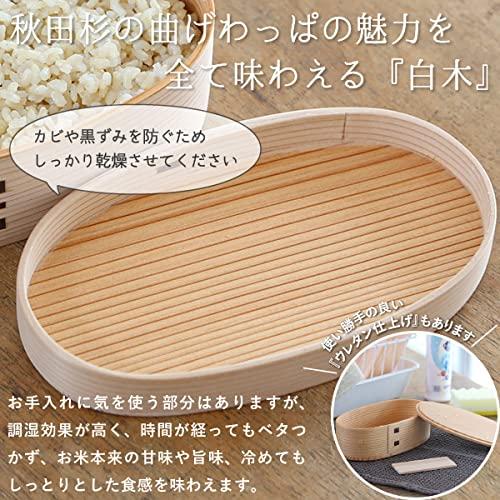 Akita Odate Ryobian Unpainted Magewappa Koban Bento 480ml (Small)