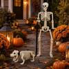 Halloween Skull Dog Decor Set White