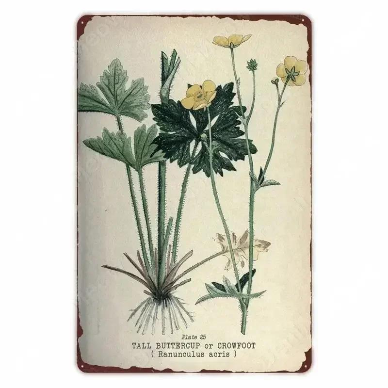 Retro Vegetable Plants Poster Vintage Fruits Metal Tin Sign Cauliflower Wall Art Sign Garden Kitchen Farm Flowers Plate Decor