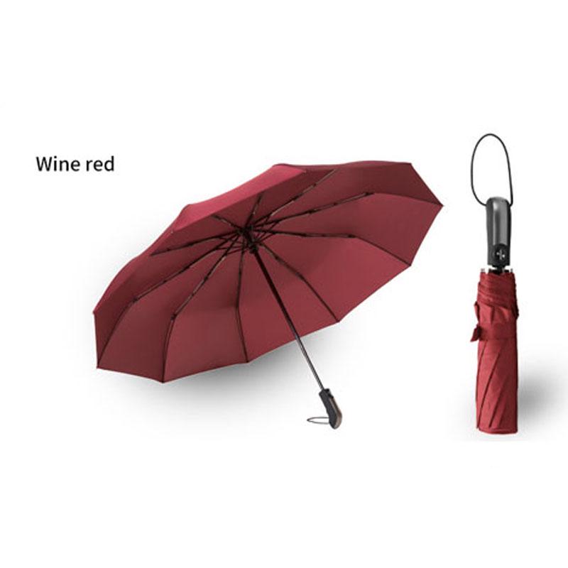 10 Ribs Automatic Travel Umbrella Auto Open Close Compact Folding Rain Windproof