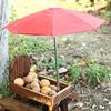 Squirrel Feeder Table Top Wood Umbrella Umbrella Corn Cob Holder Corn Cob Holder For Outside Winter Yard Porch