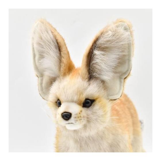 BH7239 HANSA Fennec 35
