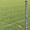 Euro Fence 1.4 X 10 M PVC Coated Iron