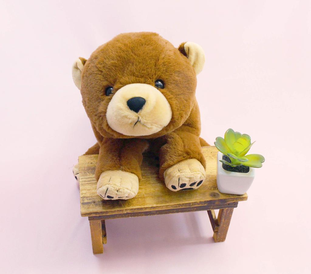 Schritt Schnee L Bär