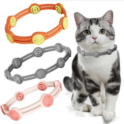 Kedi – Kedi Boyunluk ve Tasmaları