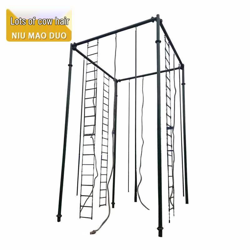 Four-Pillar Climbing Frame