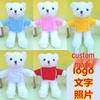 Custom Logo Teddy Bear Plush Toy - Cute Little Bear in Clothes for Gifts & Events