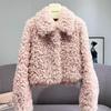 Autumn and Winter New Imitation Lamb Wool Short Fur Coat Women's Thickened Fashion Imitation Wool Roll Coat