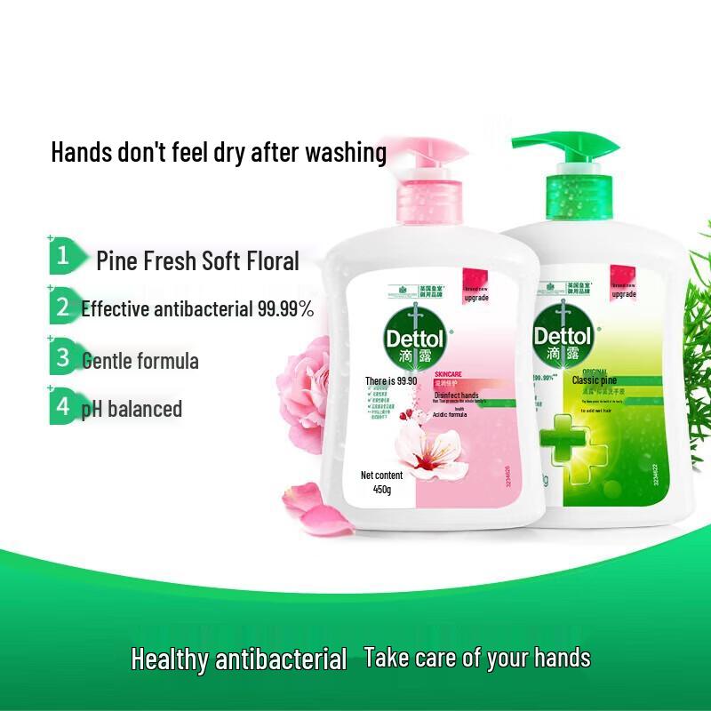 Dettol Antibacterial Hand Wash, Moisturizing & Pine (2x450g)