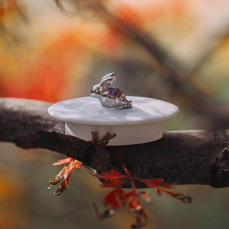 Yubai Linglong White Porcelain Japanese Quick Tea Set