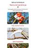 Telescopic Pole Fruit Picker for Persimmon, Loquat, Bayberry, Peach, Plum, Jujube, Apricot, and High-Altitude Harvesting