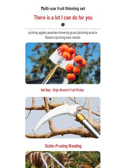 Telescopic Pole Fruit Picker for Persimmon, Loquat, Bayberry, Peach, Plum, Jujube, Apricot, and High-Altitude Harvesting