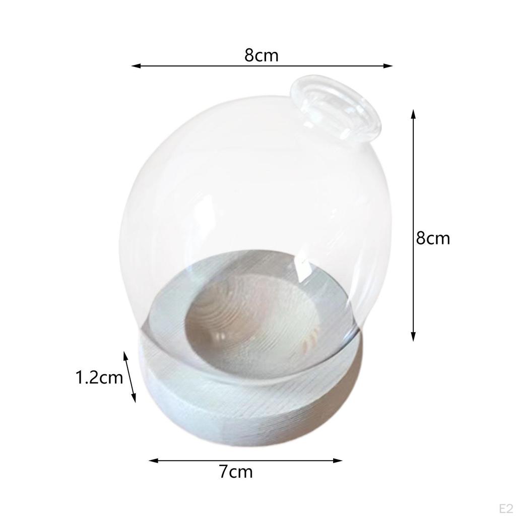 Hydroponic Plant Pot Bud Vase Home Desk Flowerpot Desktop Glass Planter for