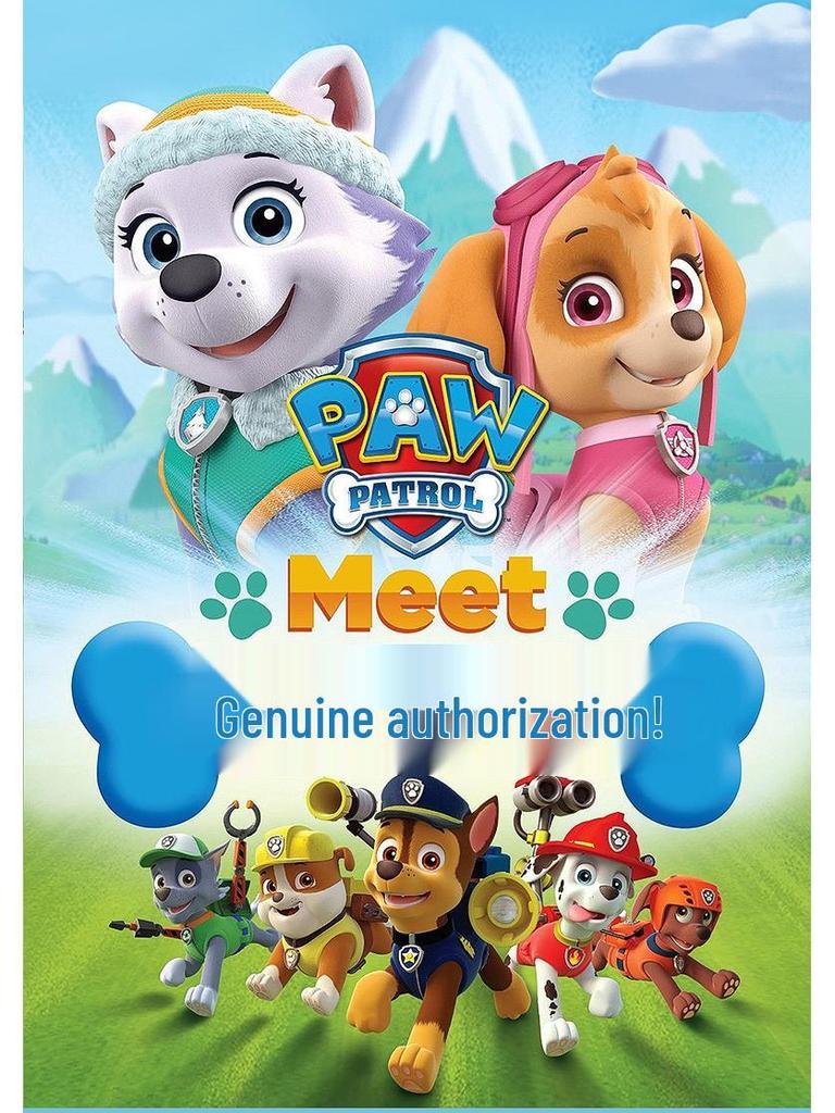 Letnie Kapcie Dziecięce Psi Patrol: Antypoślizgowy, Uroczy Wzór z Kreskówki dla Chłopców i Dziewczynek