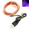 2/5/10m Waterproof Copper USB LED Fairy Wire 5V String Light Wedding Party Decor