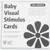 VISUAL CARDS Baby Early Education Training Card Baby Visual Stimulation Black and White Card Tracking Laraca Color Card