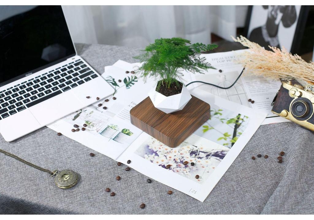 Magnetic Levitation Flower Pot for Home Decor - Creative Floating Bonsai Planter
