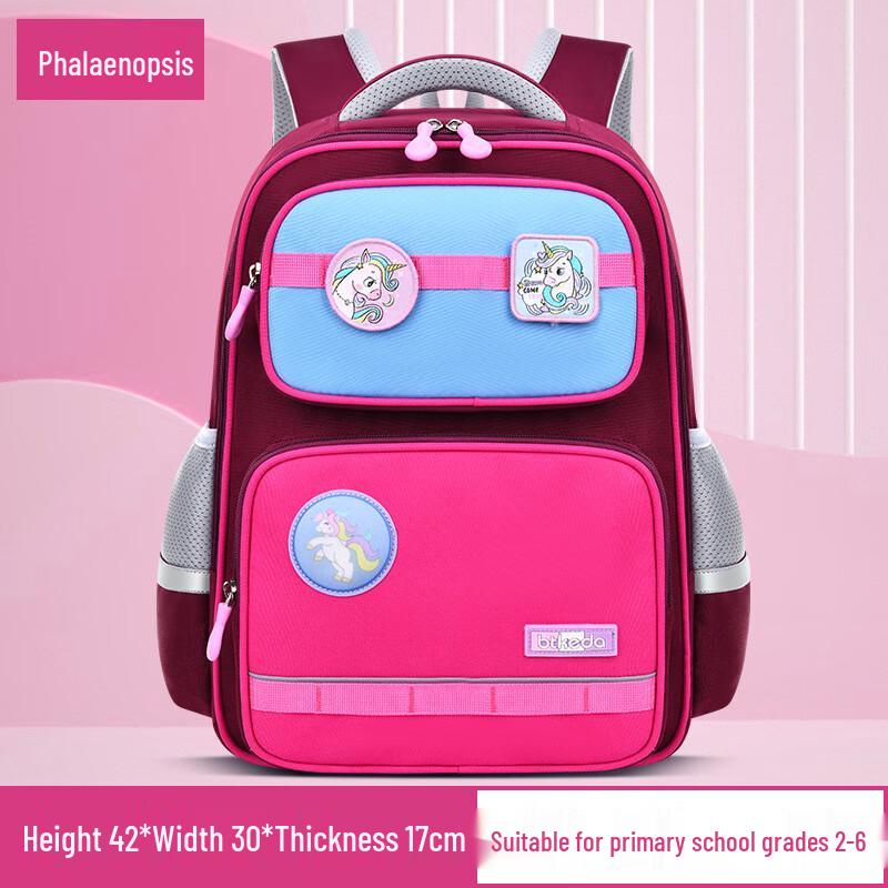 Children s Large Capacity Lightweight School Backpack