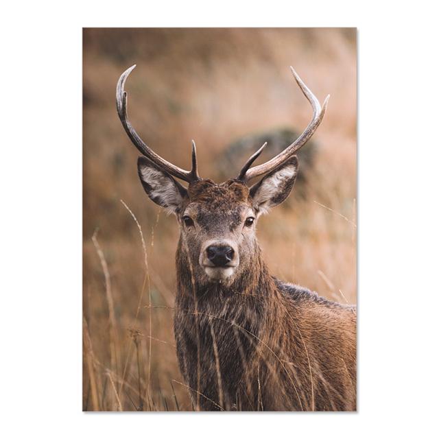 Nordic Landscape Sunrise Sika Deer Wall Art Canvas Painting Nordic Posters and Printed Wall Pictures for Living Room Decor No Frame
