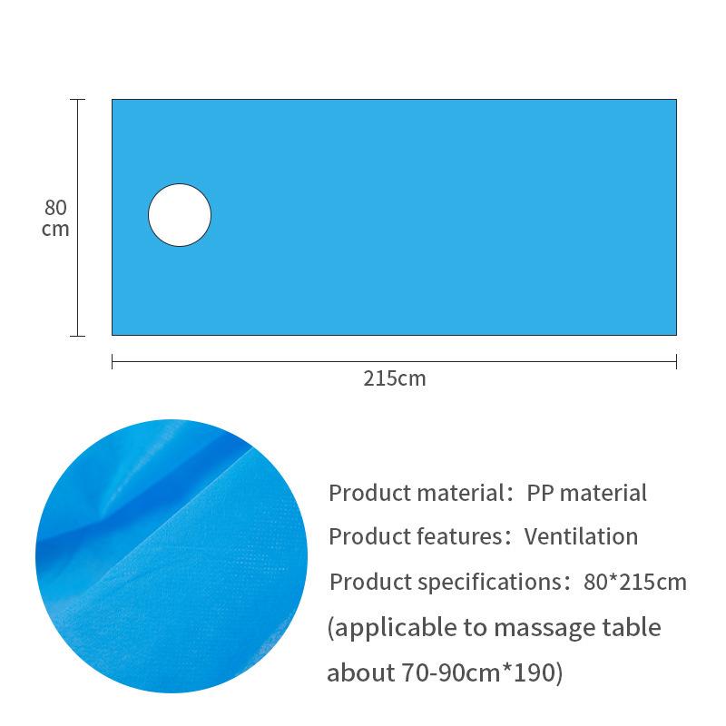 Disposable Waterproof Fitted Sheet with Elastic for Beauty Salons & Hospitals Pack of 10