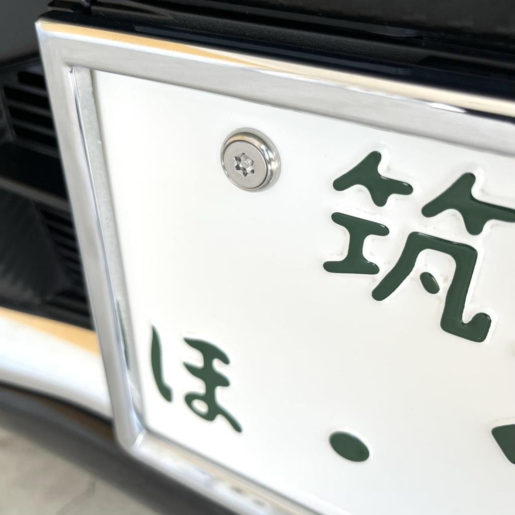 RENPA Stainless Steel Anti-Theft Bolt Set for License Plate Specific Vehicle Inspection (Bolt Length 1.0 Inch (25 Mm)