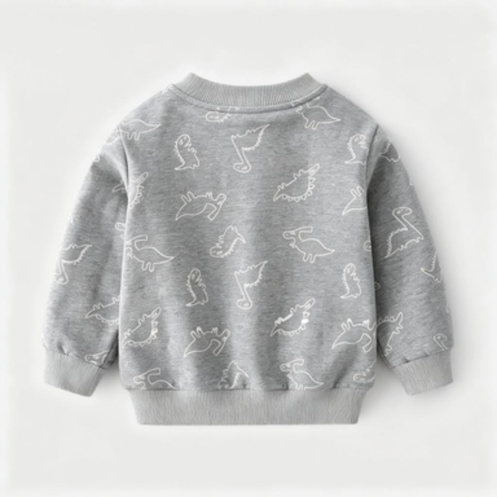 Boys Dinosaur Pullover Sweatshirt Long Sleeve Crewneck Blue Gray