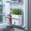 Large Capacity Vegetable Keeper Plastic Herb Lettuce Keeper Vanilla Bean Storage Box  Thyme