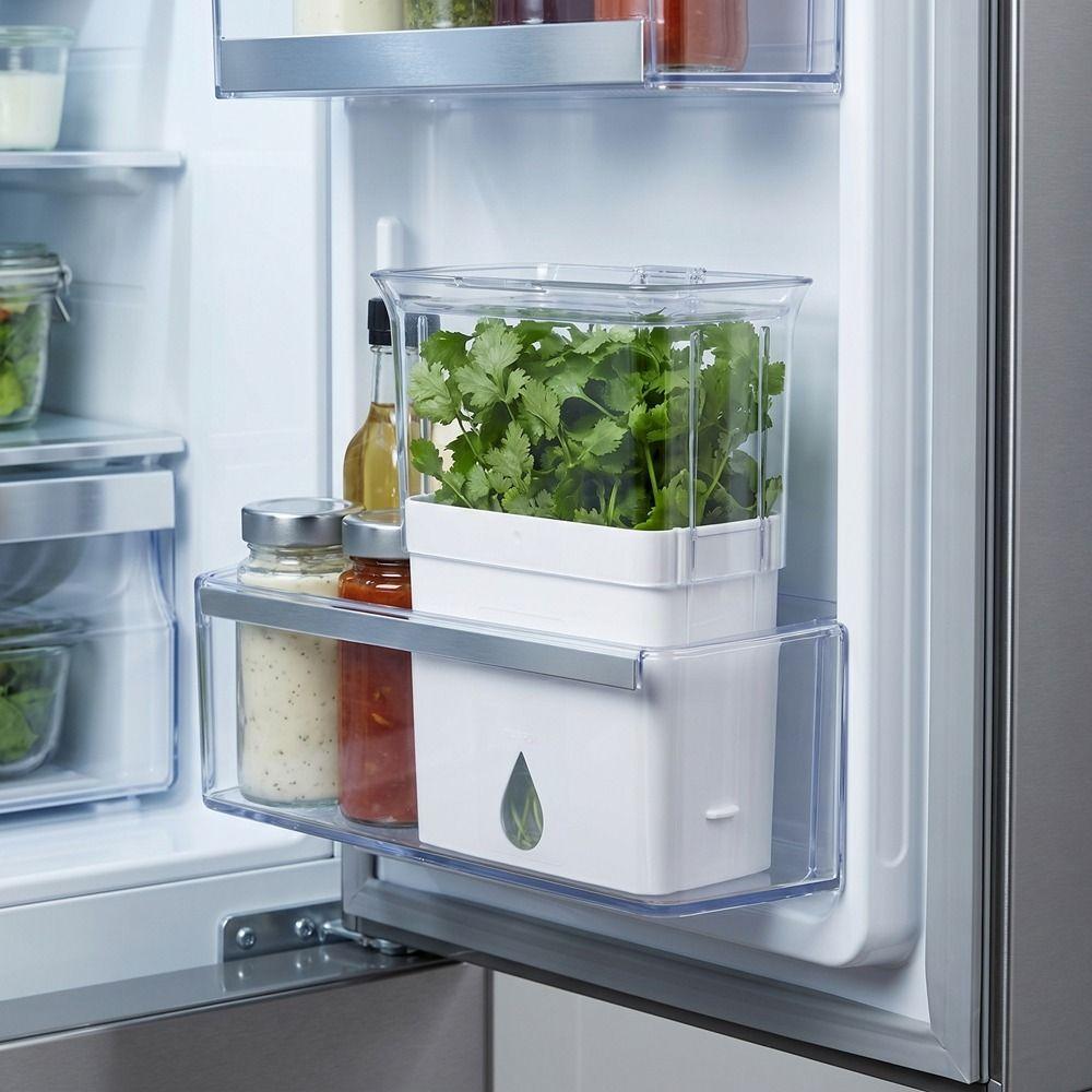 Large Capacity Vegetable Keeper Plastic Herb Lettuce Keeper Vanilla Bean Storage Box  Thyme