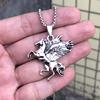 With Pegasus Alloy Pendant, Boys' Titanium Steel Necklace, Personalized Sweater Chain