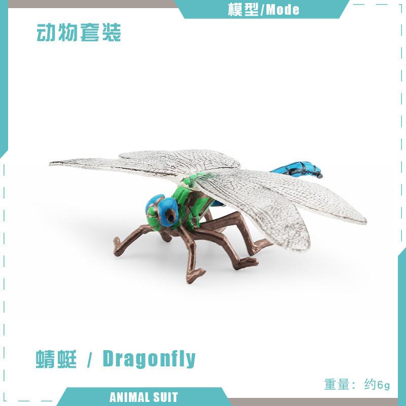 Realistic Pvc Insect Model Set Including Rhinoceros Beetle And Dragonfly For Decoration