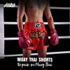 Kids Boxing Shorts Muay Thai MMA Training Competition Class
