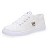 2025 Women's Canvas Shoes: New Korean Style, Flat Thick Sole, Summer Versatile White Shoes, Trendy for Female Students
