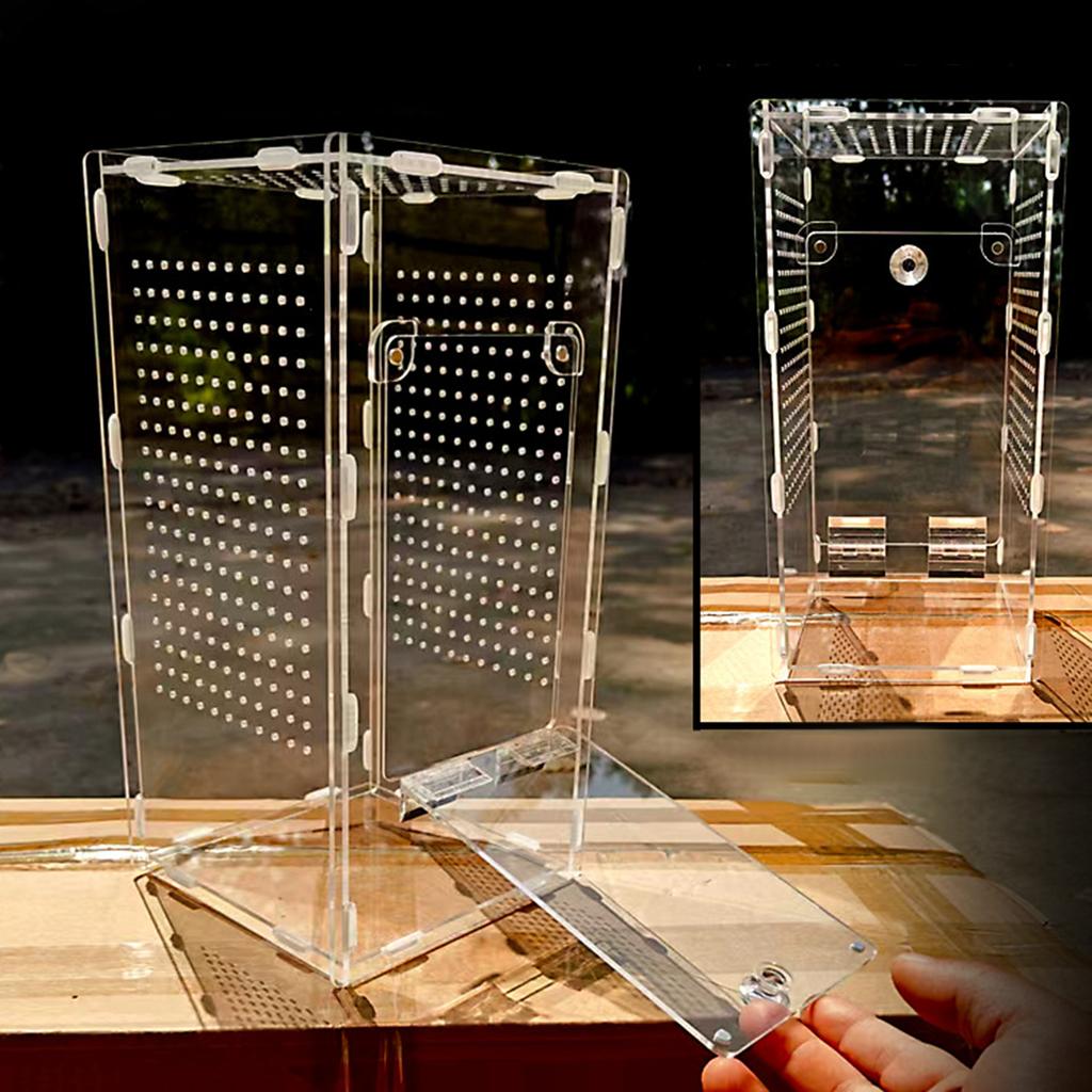 Transparent Acrylic Jumping Spider Enclosure Mantises Terrarium Geckos Insect Breeding Box for Small Animals Hatching Case