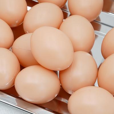 Recipientele pentru alimente – Containere pentru ouă