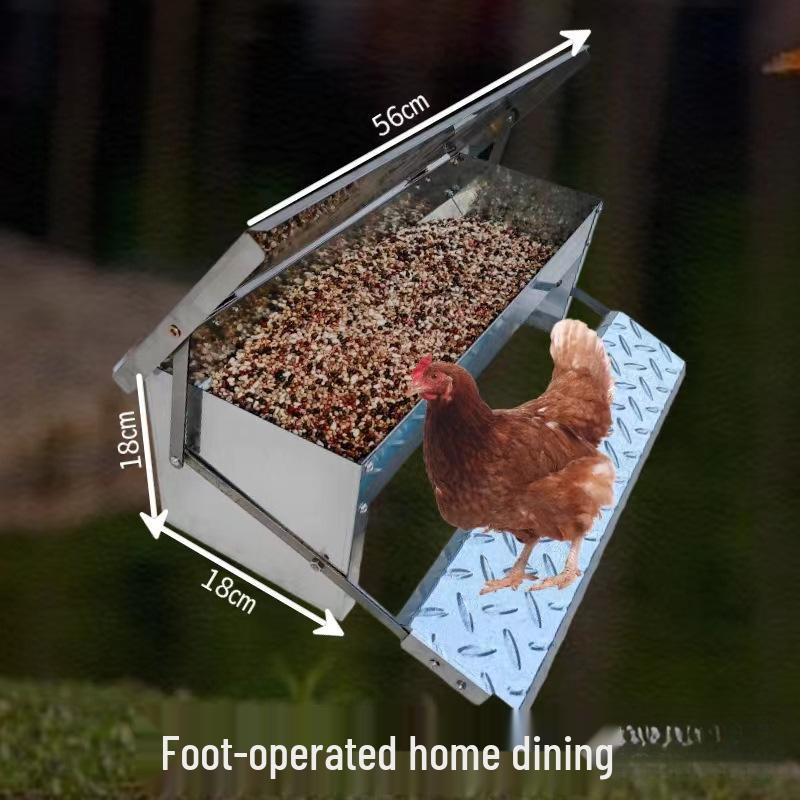 Stainless Steel Automatic Poultry Feeder for Chickens, Ducks, and Geese