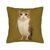 My Spirit Animal Funny Meowl Cat Owl Pillowcase Printed Cushion Cover Gift Meme Brainrot Throw Pillow Case Cover Home Zippered