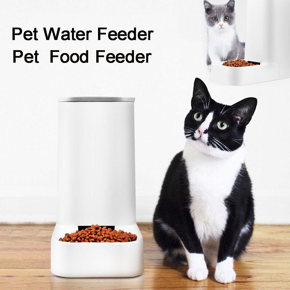 

Cat Food Dish Tilted Transparent Water Bowl Cats Bowl Pet Feeder Protect The Spine Cat Ears Shaped