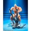 Tamashii Nations S.h. Figuarts   Perfect Superhuman Origin Chapter   Kinnikuman