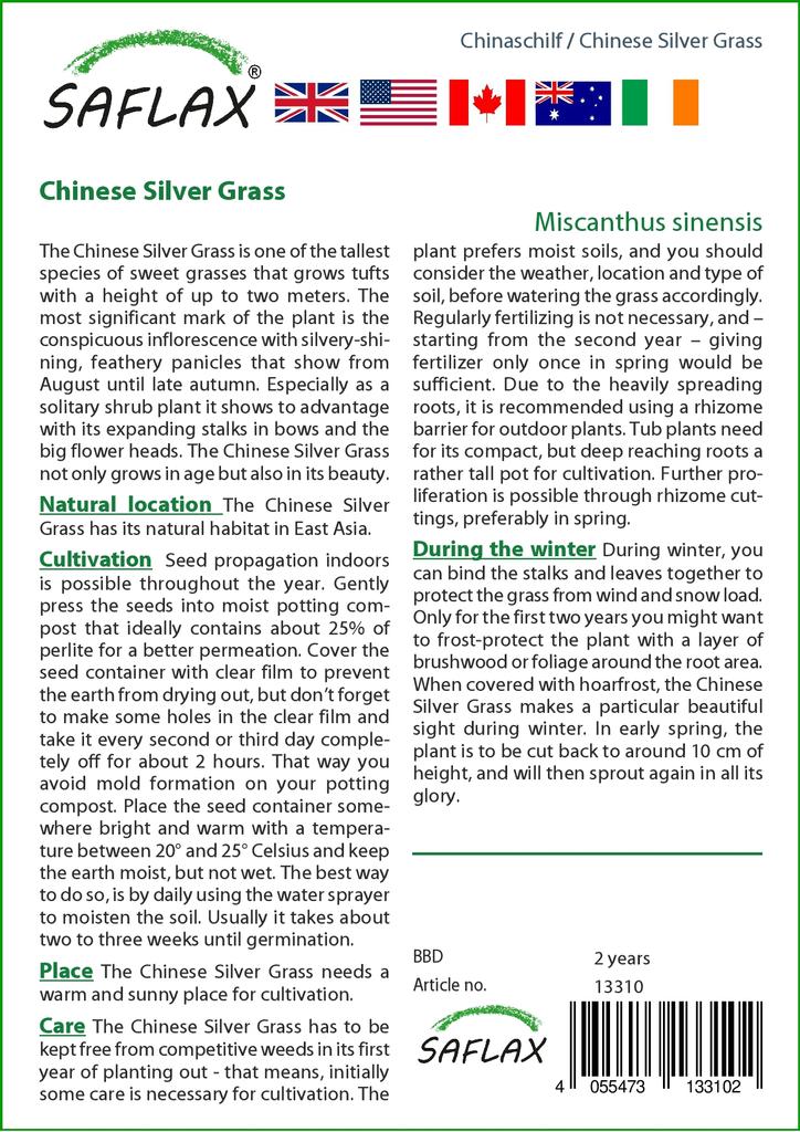 SAFLAX Stříbrná tráva čínská - 200 semen - Miscanthus sinensis