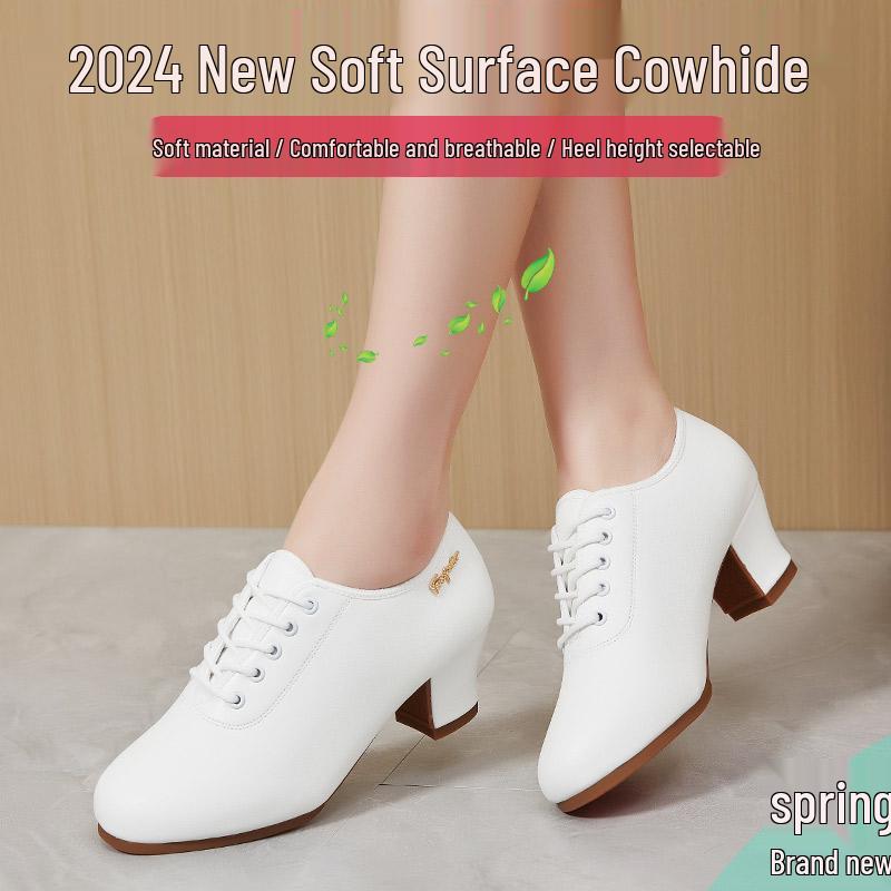 

Women s Soft Sole Low Heel Ballroom Dance Shoes for All Seasons 34