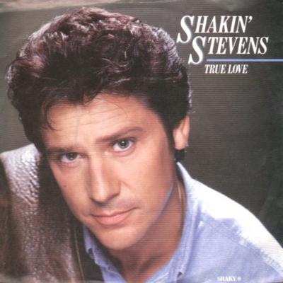 7-Zoll Schallplatte SHAKIN' STEVENS - True Love SHAKY8 Epic 1988 UK Rock Gebraucht