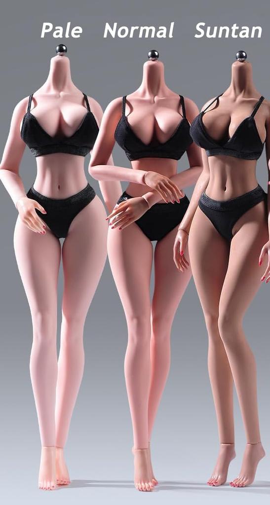16 Scale Seamless Female Figure 12 Inch (Approx. 30cm) Super Flexible Steel Frame Construction & Silicone Smooth Skin Miniature Action Figure Doll