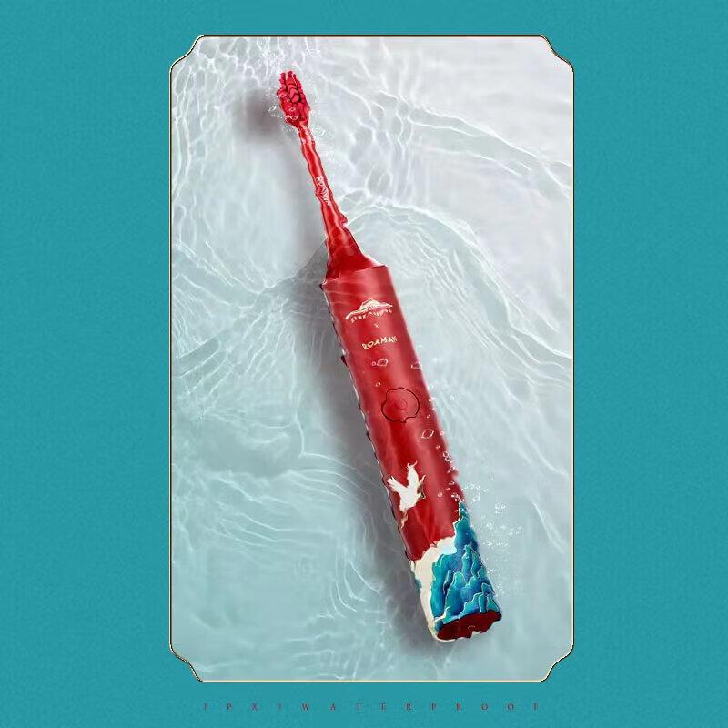 ROAMAN G10 Electric Toothbrush CN Plug (adapter Included)
