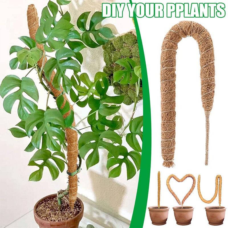 Premium Quality Coconut Shell Plant Climbing Pole 60-120cm Length