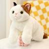 50cm Size Imitation Lying Cat Plush Toys Hairy Texture Realistic Cat Plush Toy  Birthday Gift