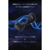 Sony WF-1000XM6 Black Wireless Earbuds