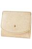 Coin Ivory [Framework] Case, FW-41914-21