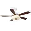 Smart Inverter Ceiling Fan with Light