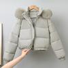 Short cotton-padded female pie overcomes Hong Kong style winter thickened student cotton-padded jacket large fur collar jacket