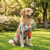Ultra-thin Breathable Pet Four-Legged Clothes Cartoon Print Cooling Dog Clothing  Travel